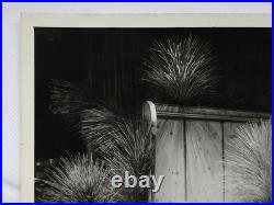 1963 Baccarat Crystal Advertising Photo Mid Century Modern Store Display RARE #2