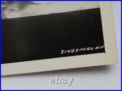 1963 Baccarat Crystal Advertising Photo Mid Century Modern Store Display RARE #3