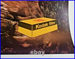 1970's Rare Kodak Film Transparent Store Display Ad Mylar Desert Scene 179