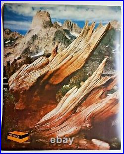 1970's Rare Kodak Film Transparent Store Display Ad Mylar Desert Scene 179