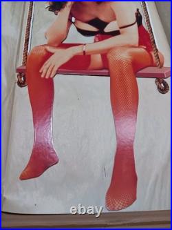 HOWARD STERN Miss America Rare Dangler Store Display 36 NOS! Near Mint 1995