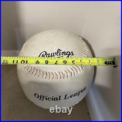 HUGE Babe Ruth Louisville Slugger Baseball Bat 66 & 12 Ball Store Display Rare