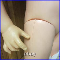 Ideal Lori Martin Store Display Doll 1961 MGM Rare Life Size National Velvet