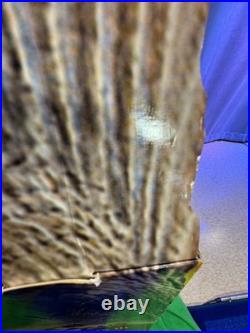 Jurassic Park 3 Store Display Sign Toys R Us SPINOSAURUS-RARE 44.5 X 23.5 X 3