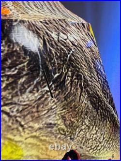 Jurassic Park 3 Store Display Sign Toys R Us SPINOSAURUS-RARE 44.5 X 23.5 X 3