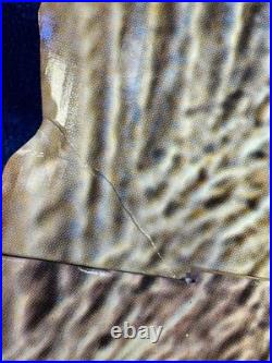 Jurassic Park 3 Store Display Sign Toys R Us SPINOSAURUS-RARE 44.5 X 23.5 X 3