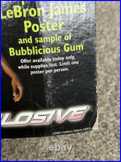 LeBron James Rare 2005 Bubblicious Bubble Gum Store Display Ad Poster Stand