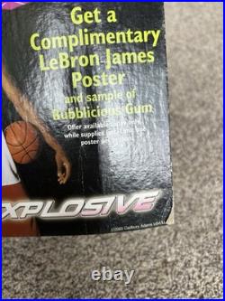 LeBron James Rare 2005 Bubblicious Bubble Gum Store Display Ad Poster Stand