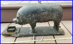 Neat Original Metal Salesman Sample Pig Moorman Quincy IL Rare 1940s