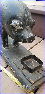 Neat Original Metal Salesman Sample Pig Moorman Quincy IL Rare 1940s