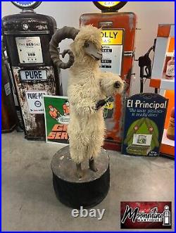 RARE Antique THE MAMMOTH Shoe & Clothing Co. Animatronic Goat Store Display