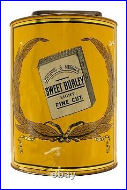 Rare 1920s Sweet Burley litho store display humidor tobacco tin in good cond