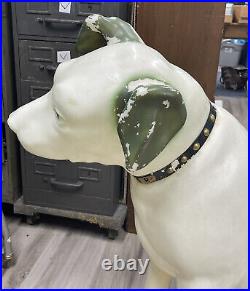 Rare 1950's Rca Nipper Dog 36 Store Display Showroom Blow Mold Sign