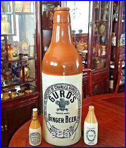 Rare Gurd's Montreal Canada 30.1/4 Store Display Stoneware Ginger Beer Bottle