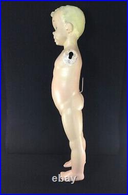 Rare Vintage Store Display Composite Boy Child Mannequin 1940's-50's No Arms. 1