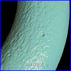 Tiffany & Co. Store Display Life Ring Super Rare NYC #$2